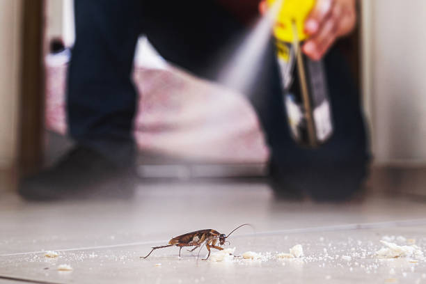 South Floral Park, NY Pest Control Company