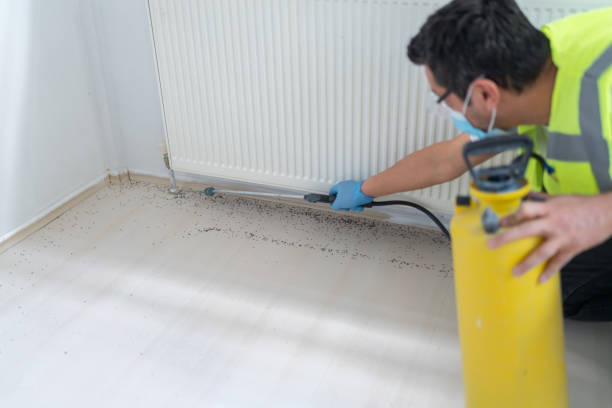 Best Wildlife Control Services  in South Floral Park, NY