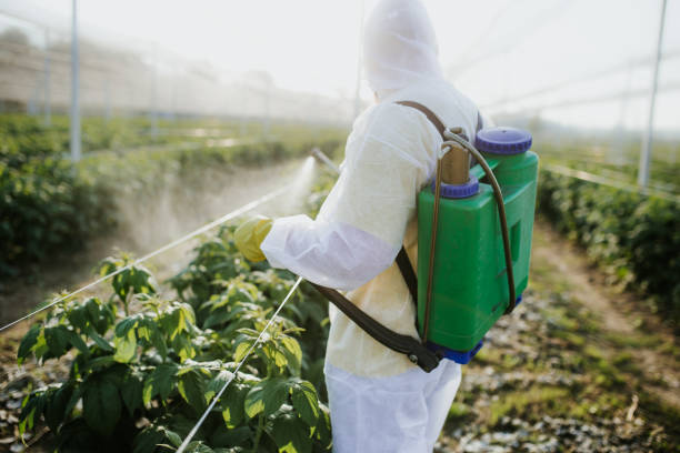 Best Pest Prevention Services  in South Floral Park, NY